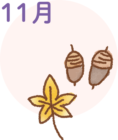 11月